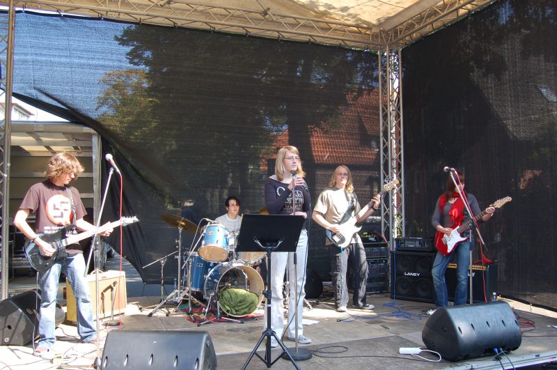 {short description of image}