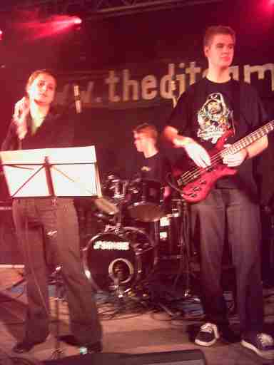 {short description of image}